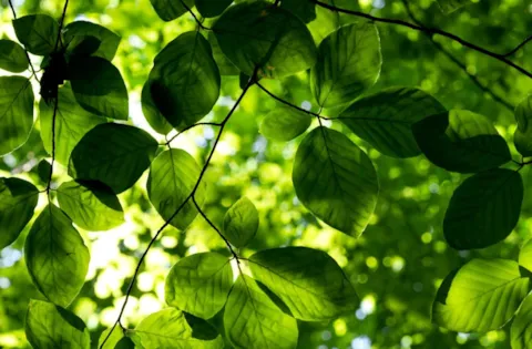 Kurs e-learningowy dotyczący wymagań normy ISO 14001:2015