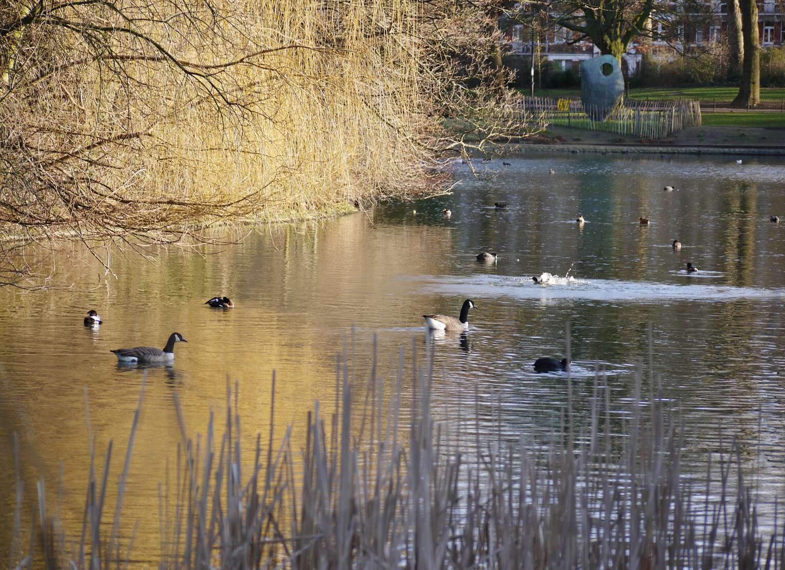 Czarny łabędź i szary nosorożec w BHP