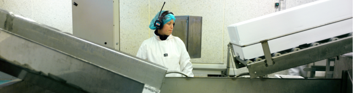 Audytor wewnętrzny ISO 22000 w zakładzie