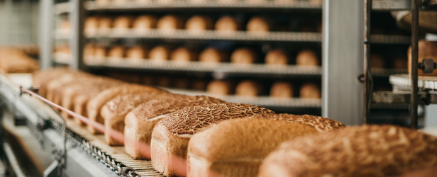 Bezpieczeństwo żywności - szkolenia