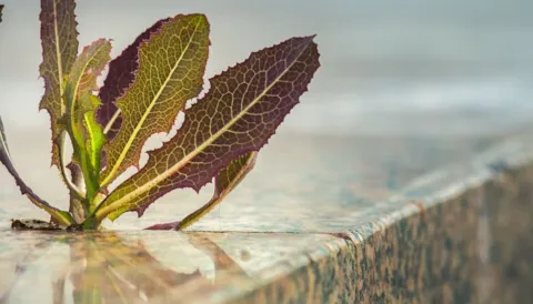 Kurs online: Poprawka klimatyczna w normach systemów zarządzania ISO