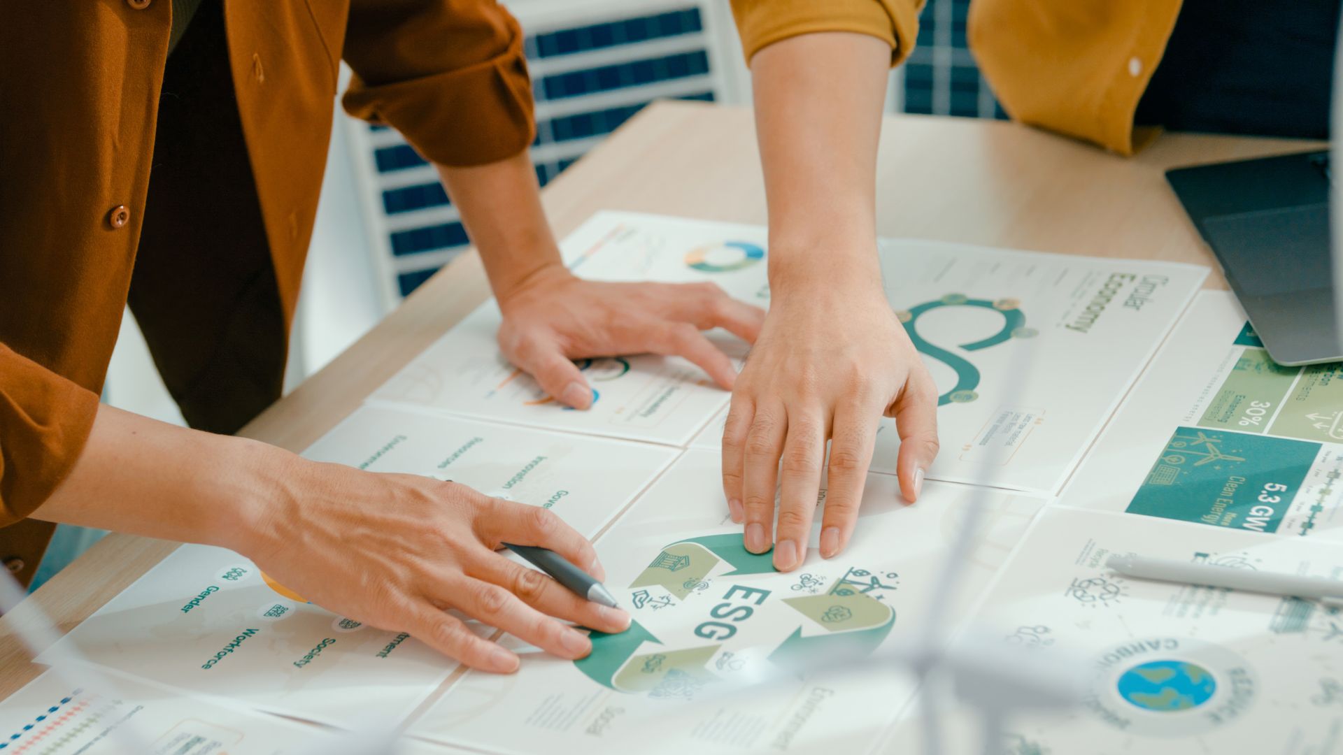 Kryteria kwalifikacyjne, zakres i wykorzystanie wyróżnienia ESG