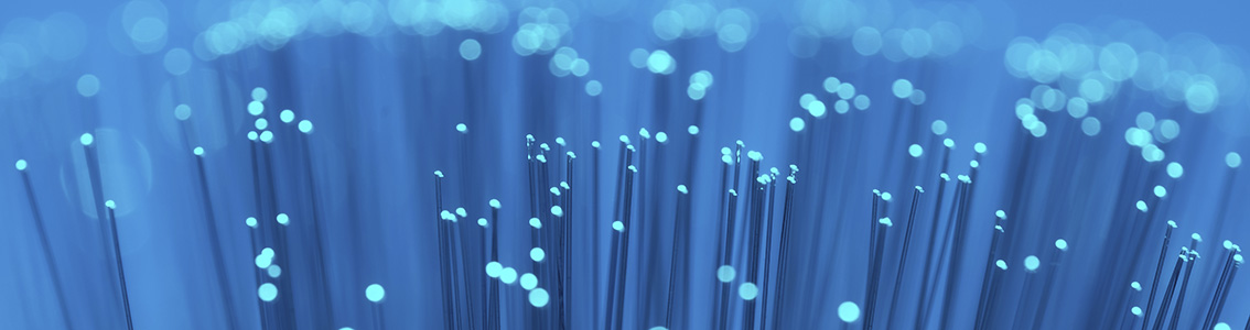 Audytor wiodący ISO/IEC 27001, Audytor wewnętrzny ISO/IEC 42001 