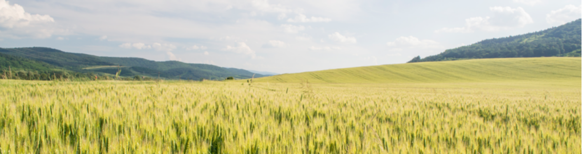 Szkolenia środowisko i zarządzanie energią DNV GL