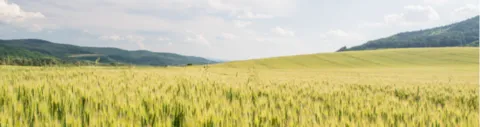 Szkolenia środowisko i zarządzanie energią DNV GL