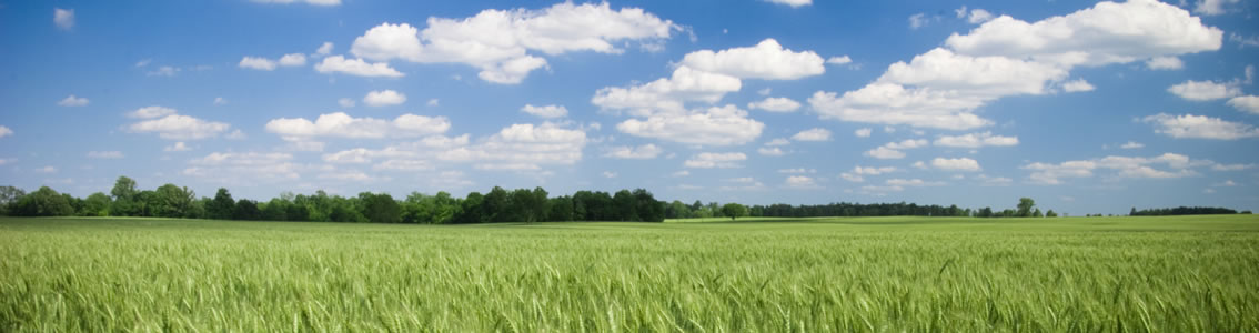 EMAS - Europejski system zarządzania środowiskowego