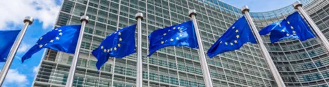 EU flags