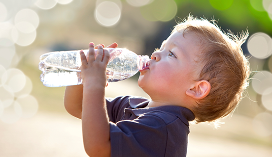 Program Kultura Bezpieczeństwa Żywności