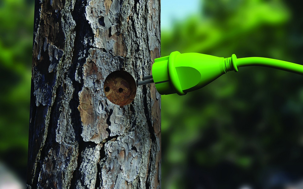 Audyty wewnętrzne systemów kontroli pochodzenia produktu FSC®