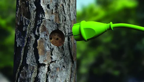 Audyty wewnętrzne systemów kontroli pochodzenia produktu FSC®