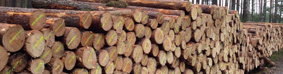 Wdrażanie i doskonalenie systemów kontroli pochodzenia produktu FSC®