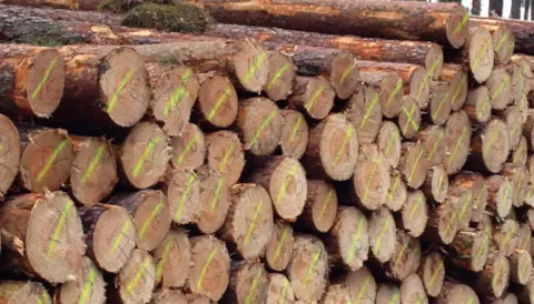 Wdrażanie i doskonalenie systemów kontroli pochodzenia produktu FSC®