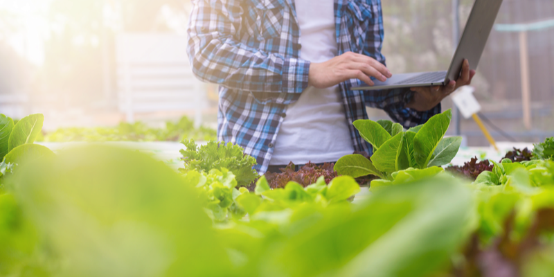 Guy with laptop in the glasshouse