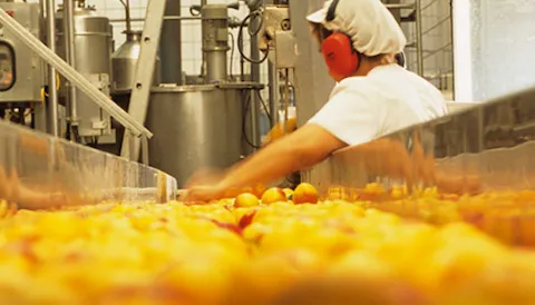 HACCP