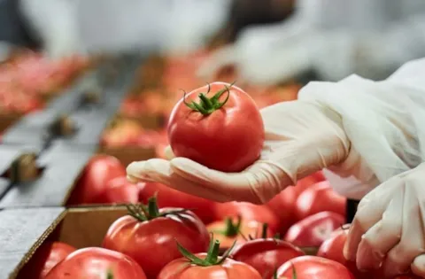 Szkolenie IFS Food Fraud zafałszowania żywności dla branży spożywczej