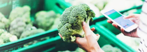 IFS v.6.1 article DNV GL