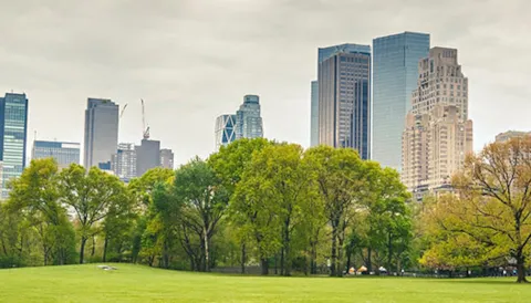 ISO 14001:2015 - System zarządzania środowiskowego