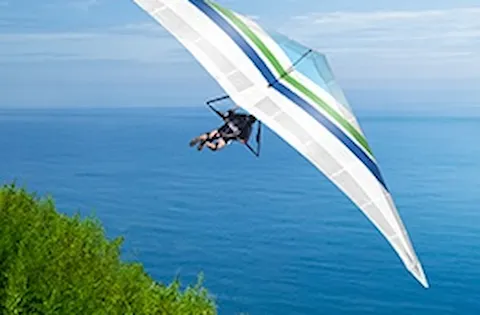 Online self-assesment suite