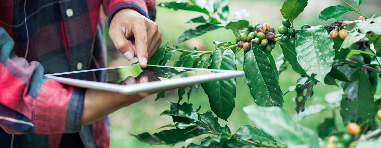 Supply Chain & Product Assurance