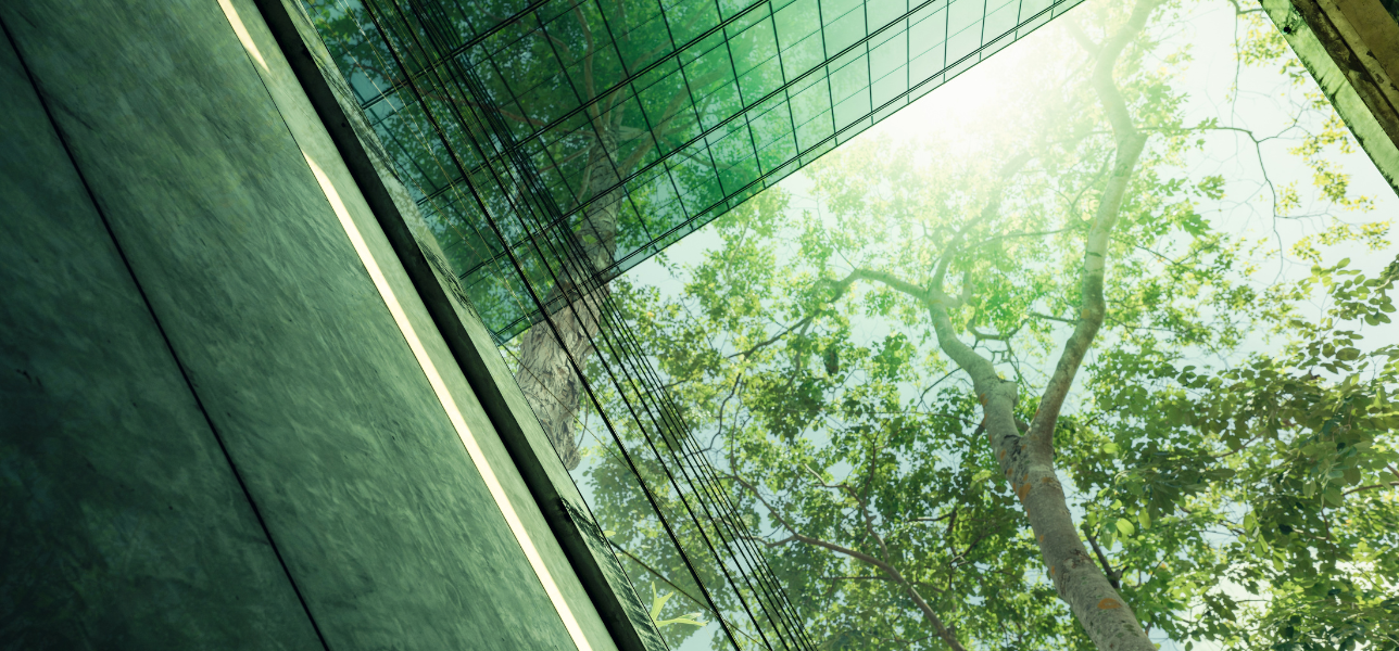 Czy firmy angażują się w zrównoważony rozwój?