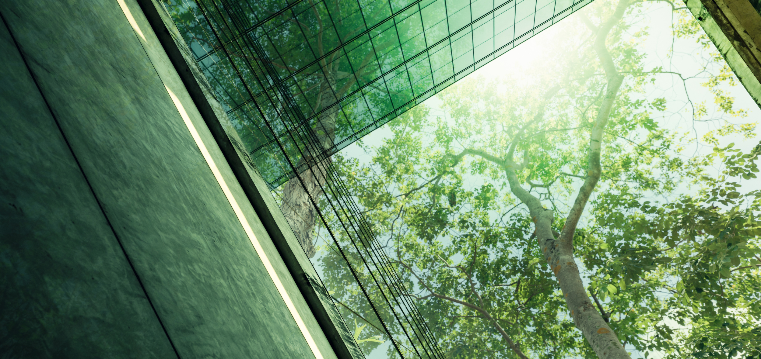 Ekologiczny budynek w nowoczesnym mieście