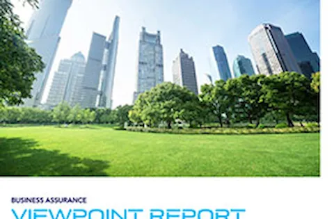ViewPoint report