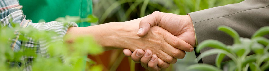 Łańcuch dostaw DNV GL