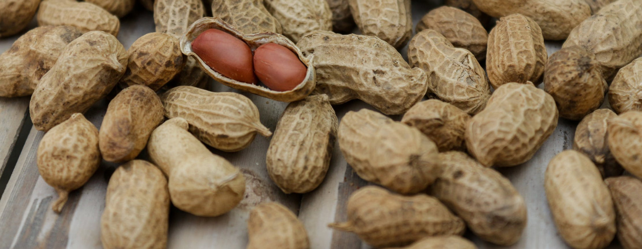 Większa przejrzystość w walce z fałszowaniem żywności DNV GL 