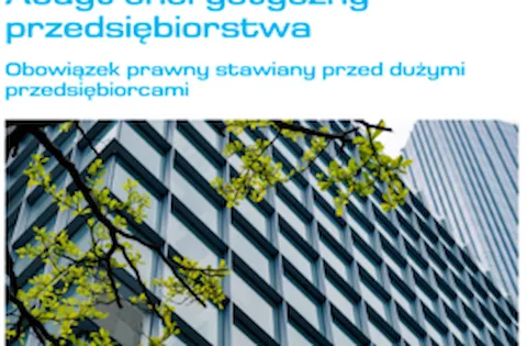 Audyty energetyczne przedsiębiorstw