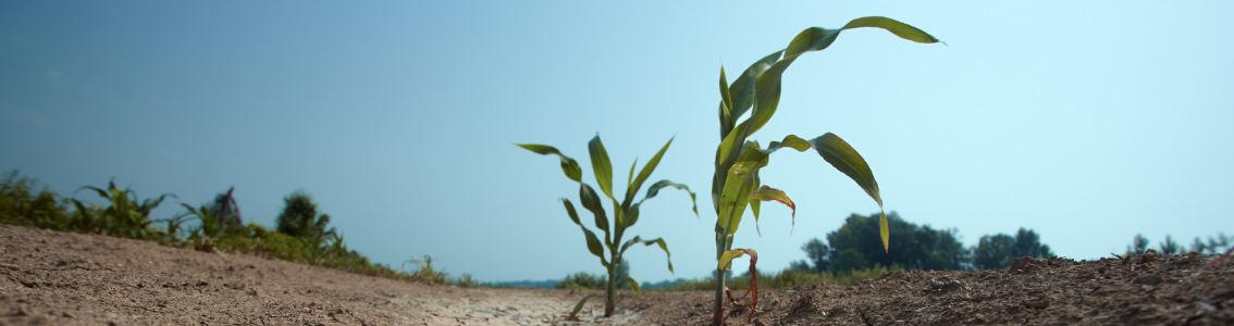 Wymagania ISO 14001:2015