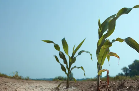 Wymagania ISO 14001:2015