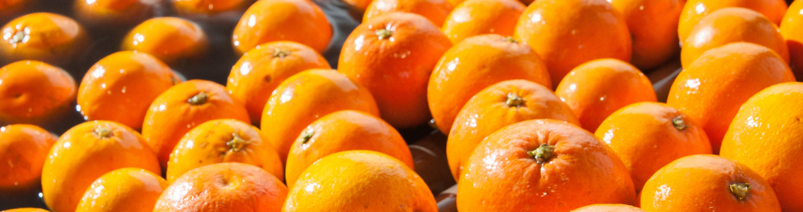 Wymagania ISO 22000:2018